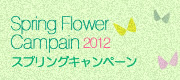 フラワーショップWFS/父の日の花ギフト・プレゼント特集
