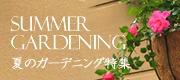 フラワーショップWFS/夏のガーデニング(花鉢植え)特集