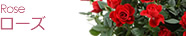 ローズの育て方一覧