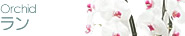 ランの育て方一覧