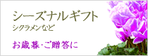 お歳暮・ご贈答の花の通販・宅配トップ