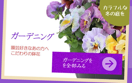 ガーデニング(お歳暮・ご贈答)の花販売・通販