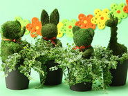 Animal Topiary