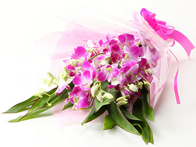 Colorful Gerbera Daisies