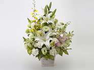 Offering Arrangement“清風 Seifu”