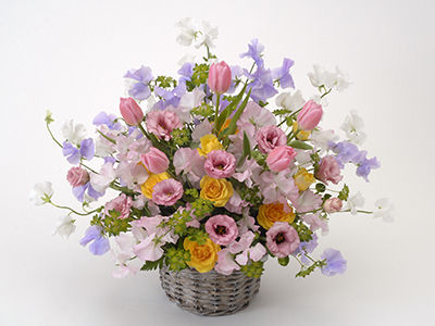 ケリーの通販・宅配・販売