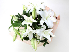 検索結果:|花ギフトの通販・宅配・販売【WFS】