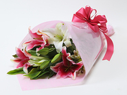 Lilly Mix