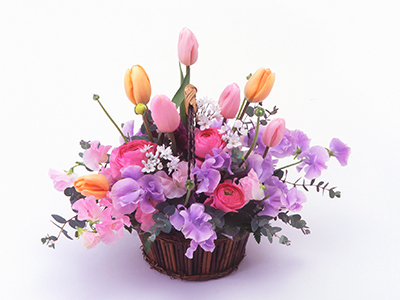 Colorful Gerbera Daisies