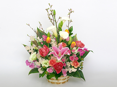 Colorful Gerbera Daisies