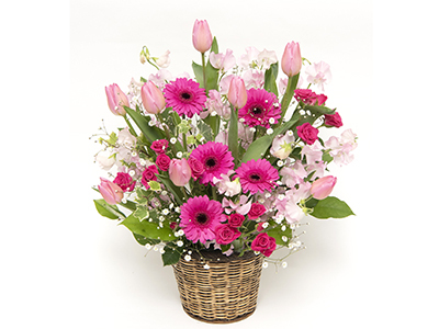 メルヘンの通販・宅配・販売