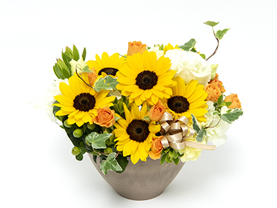 Colorful Gerbera Daisies