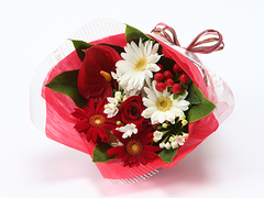 ガーベラ 商品一覧|花ギフトの通販・宅配・販売【WFS】