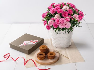 カーネーション&焦がしキャラメルのバームクーヘンの通販・宅配・販売