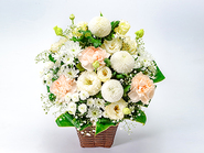 Offering Arrangement“畔 Hotori” 