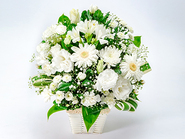 Offering Arrangement“真 Shini”