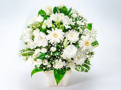 Colorful Gerbera Daisies