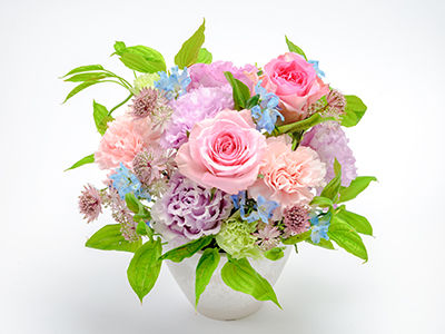 Colorful Gerbera Daisies