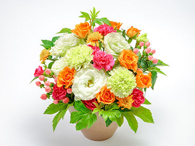 Colorful Gerbera Daisies