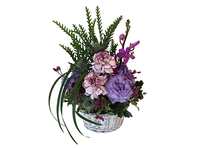 ボタニカルパープルの通販・宅配・販売