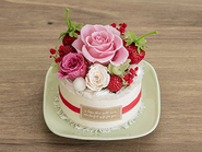Petit Gateau Pink(Preserved Flower)