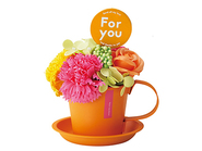 VividMugSoapflower・Orange