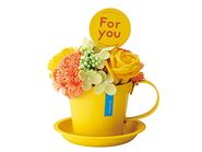 VividMugSoapflower・Yellow