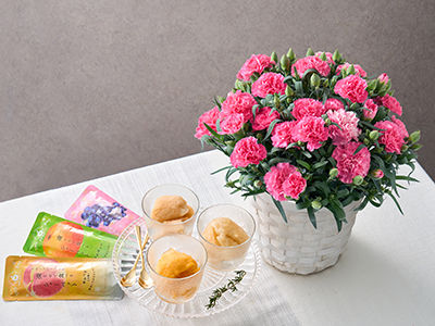 【New】カーネーション&凍らせて食べるシャーベットの通販・宅配・販売