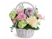 Pastel sherry(Arrangement)