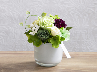 【New】シュエットグリーン(プリザーブドフラワー)の通販・宅配・販売