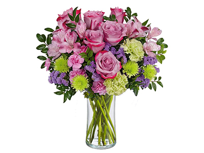 Colorful Gerbera Daisies