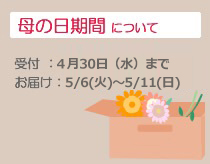 母の日の花のお届け期間
