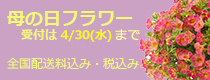 2019母の日の花・フラワーギフトの通販・宅配トップ