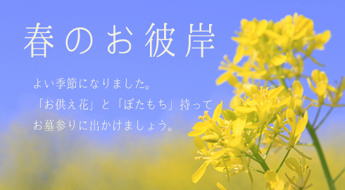 ケーキと花のギフト / 花ギフト宅配・通販