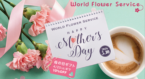 ケーキと花のギフト / 花ギフト宅配・通販