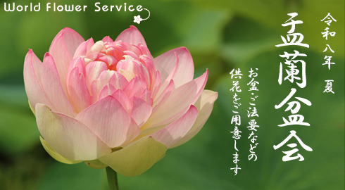 ケーキと花のギフト / 花ギフト宅配・通販