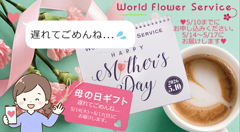 ケーキと花のギフト / 花ギフト宅配・通販