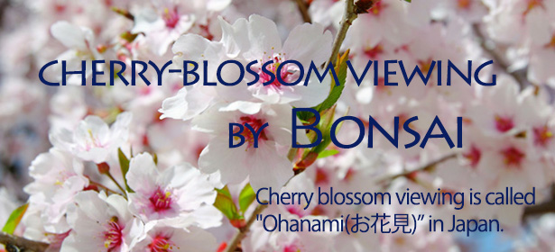 Send Mother's Day Flowers Online to Japan.