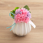 今月のプレゼントマノンミックス(プリザーブドフラワー)